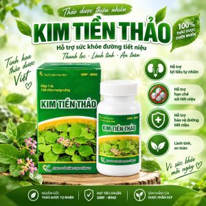 Kim Tiền Thảo VCP 240mg – Viên Nang Cứng Hỗ Trợ Điều Trị Sỏi Đường Tiết Niệu
