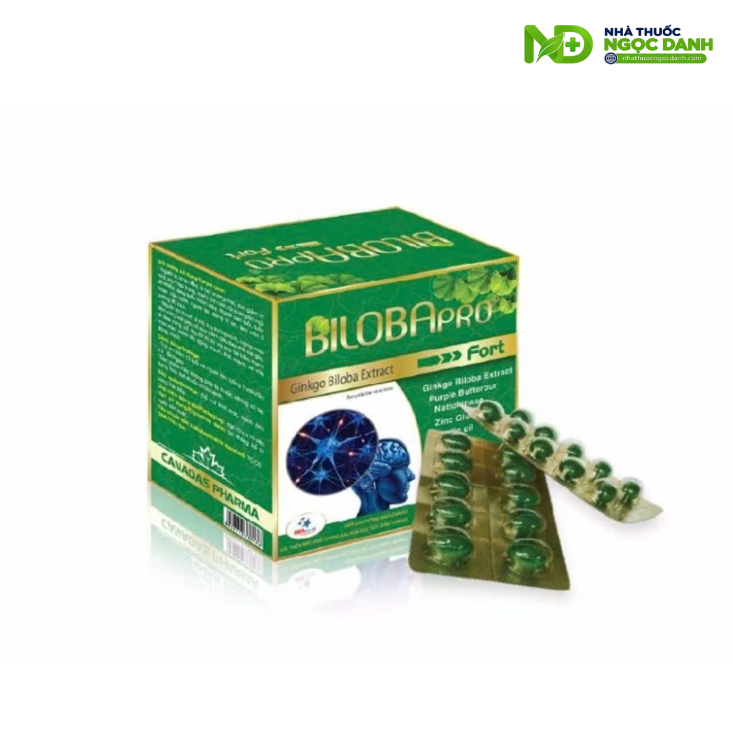 BILOBApro-Fort-Ginkgo-Biloba-Extract-–-Ho-Tro-Tuan-Hoan-Mau-Nao-Hop-100-Vien-Nang-Mem-1