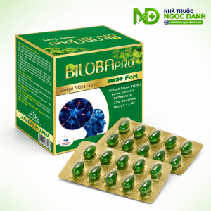 BILOBApro-Fort-Ginkgo-Biloba-Extract-–-Ho-Tro-Tuan-Hoan-Mau-Nao-Hop-100-Vien-Nang-Mem