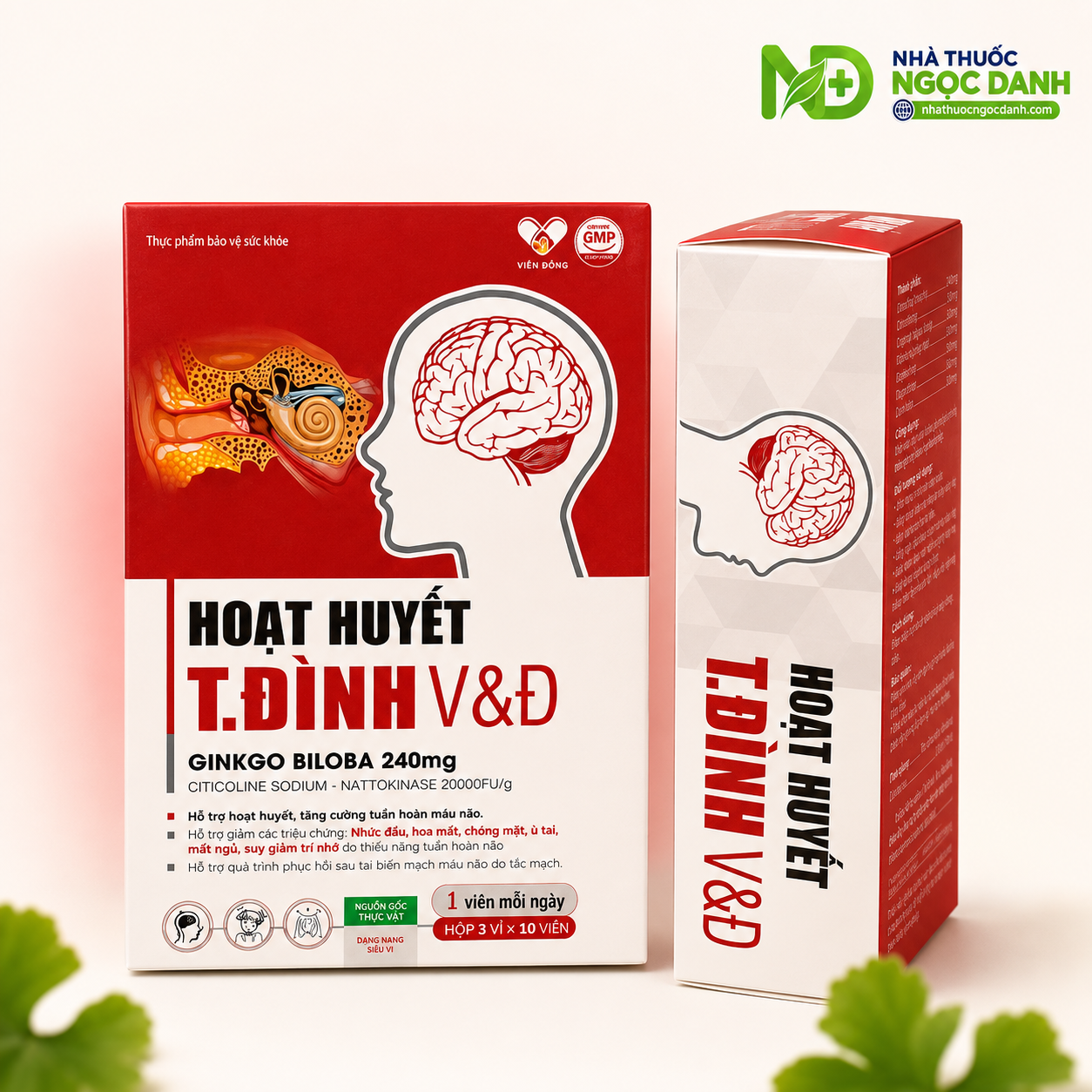 Hoat-Huyet-T.Dinh-VD-Hop-30-Vien-–-Ho-Tro-Hoat-Huyet-Tang-Cuong-Tuan-Hoan-Mau-Nao.