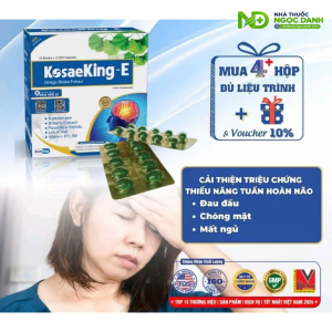 KosaeKing-E-Ginkgo-Biloba-Extract-–-Ho-Tro-Tuan-Hoan-Mau-Nao-Hop-100-Vien-2