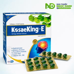 KosaeKing-E-Ginkgo-Biloba-Extract-–-Ho-Tro-Tuan-Hoan-Mau-Nao-Hop-100-Vien